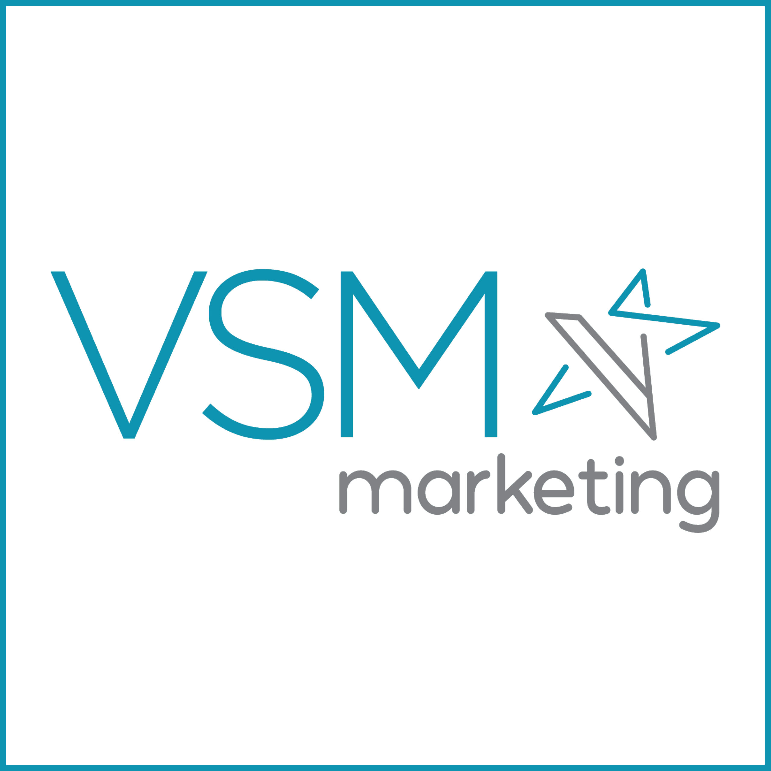 VSM