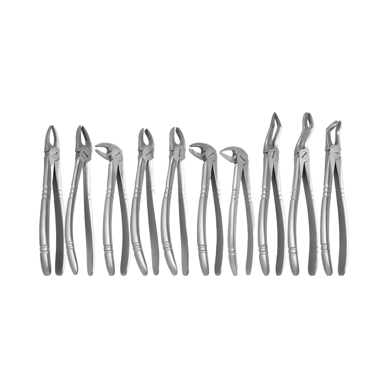 Extraction Forceps