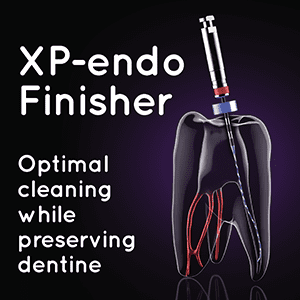 XP-endo Finisher